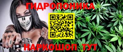 хмурый Аша
