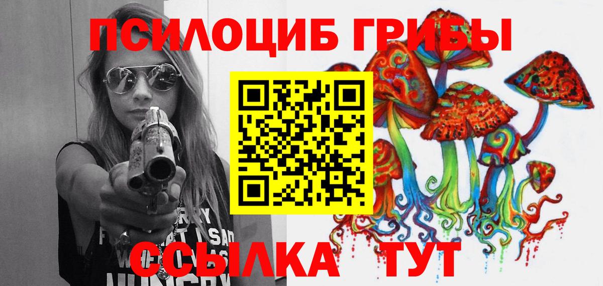 Галлюциногенные грибы прущие грибы  Вход с VPN  Будённовск 